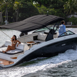 Sea Ray 290 Creed Miami 6
