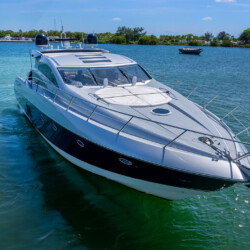 Sunseeker 72 Lion Miami 6